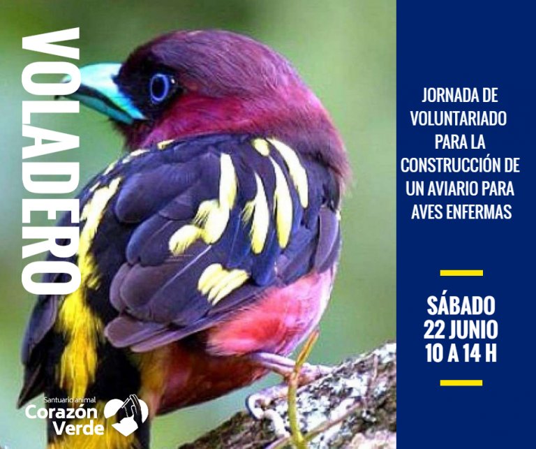 AVIARIO