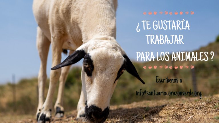 ¿Nos ayudas?