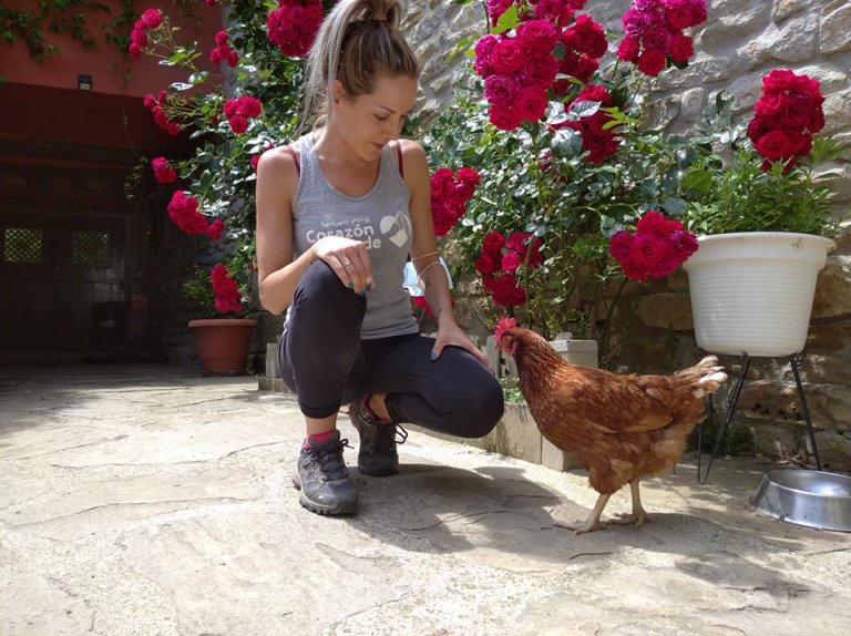 Gallinas Gallinas