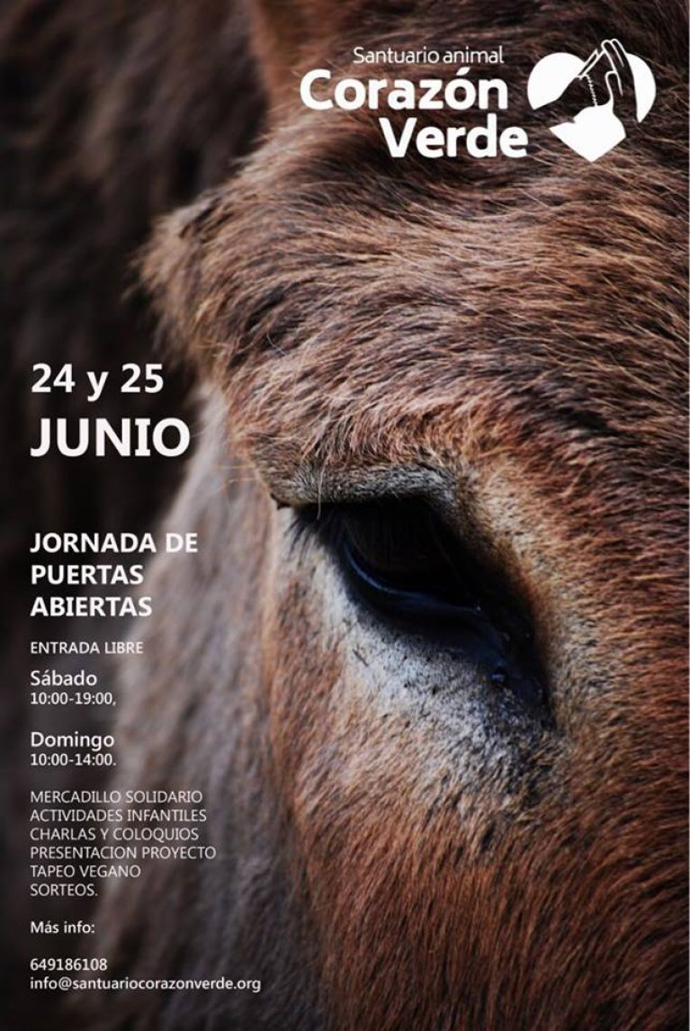 Jornadas de puertas abiertas Jornadas de puertas abiertas