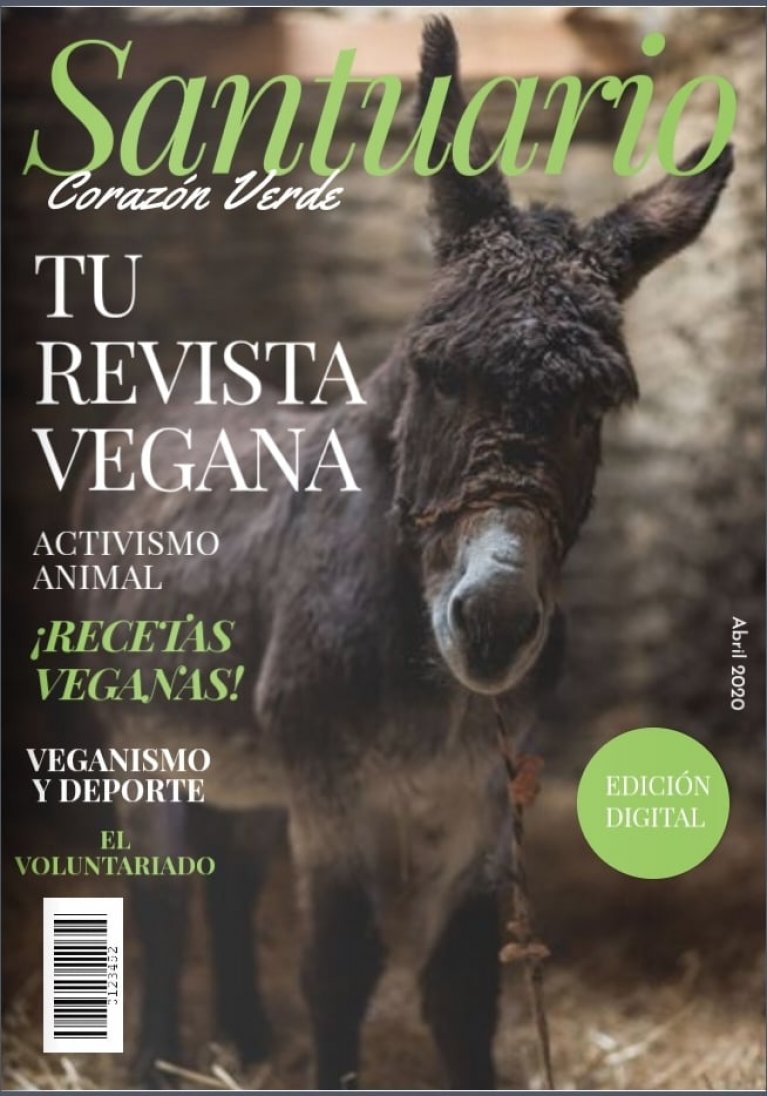 REVISTA SANTUARIO REVISTA SANTUARIO