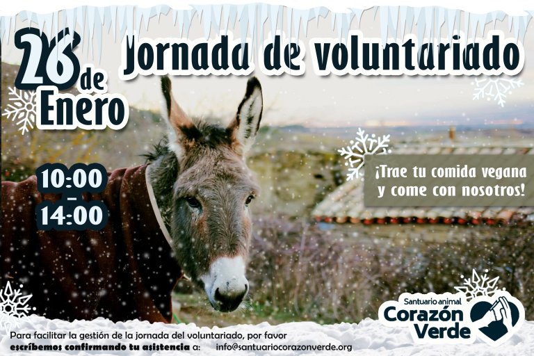 VOLUNTARIADO DE ENERO VOLUNTARIADO DE ENERO