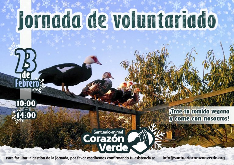 Voluntariado de Febrero Voluntariado de Febrero