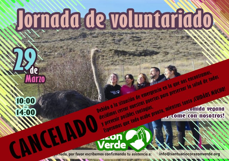 Voluntariado de Marzo Voluntariado de Marzo