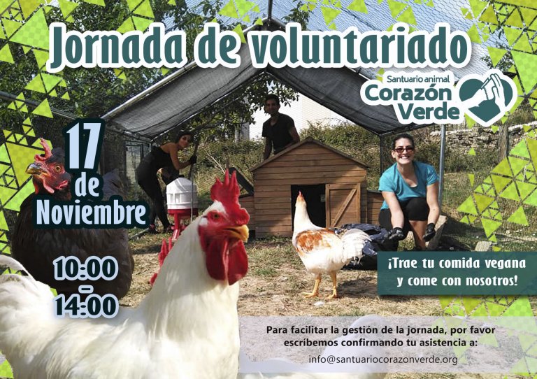 Voluntariado de Noviembre Voluntariado de Noviembre