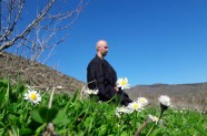 zazen zazen