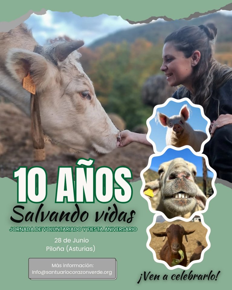 10º Aniversario del Santuario 10º Aniversario del Santuario
