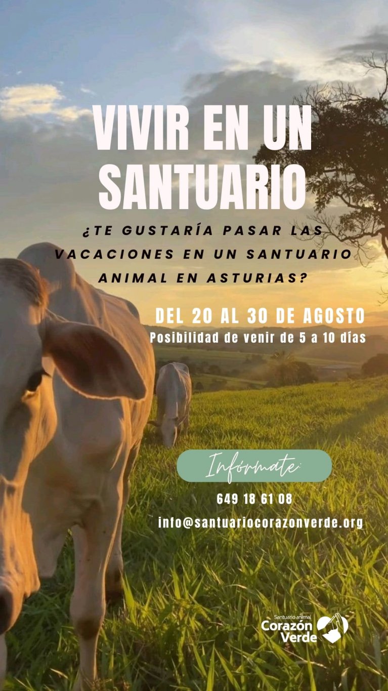 AGOSTO EN EL SANTUARIO