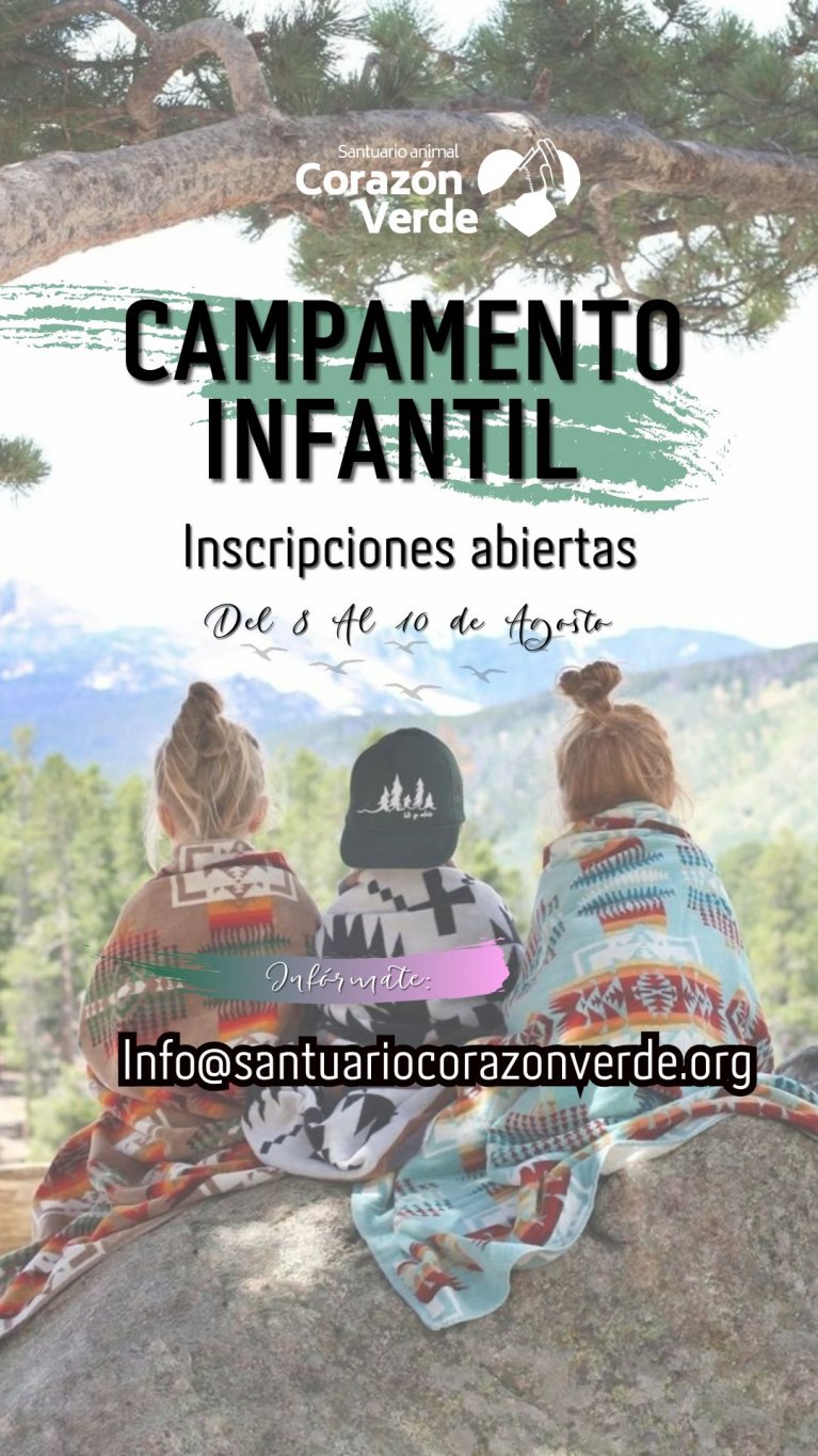 Campamento infantil 2025