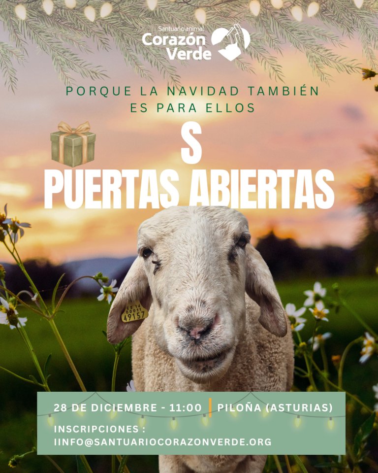 Día de los Santos inocentes Día de los Santos inocentes