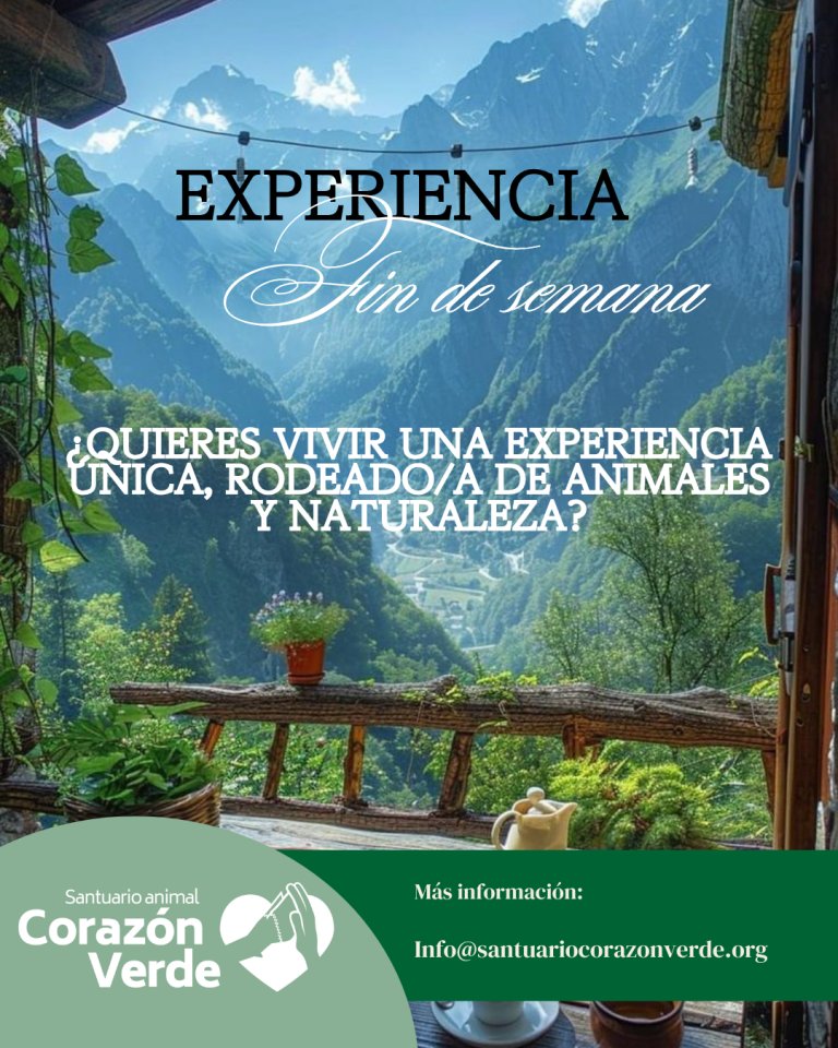 Experiencia fin de semana Experiencia fin de semana