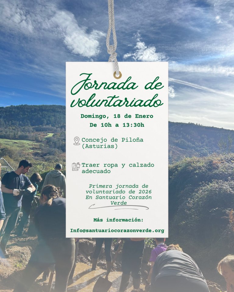 Primer voluntariado de 2026 Primer voluntariado de 2026