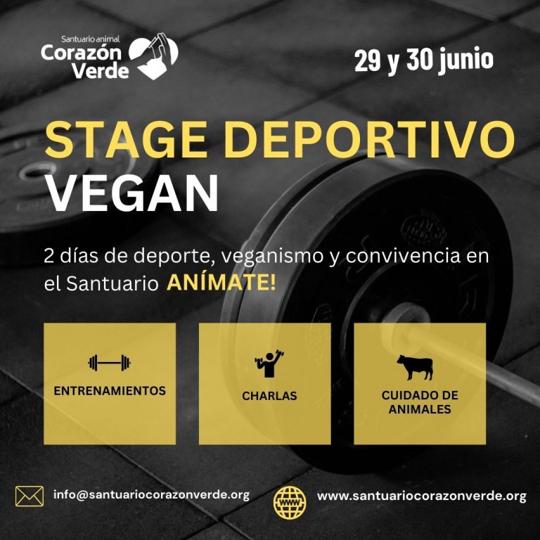 Stage deportivo