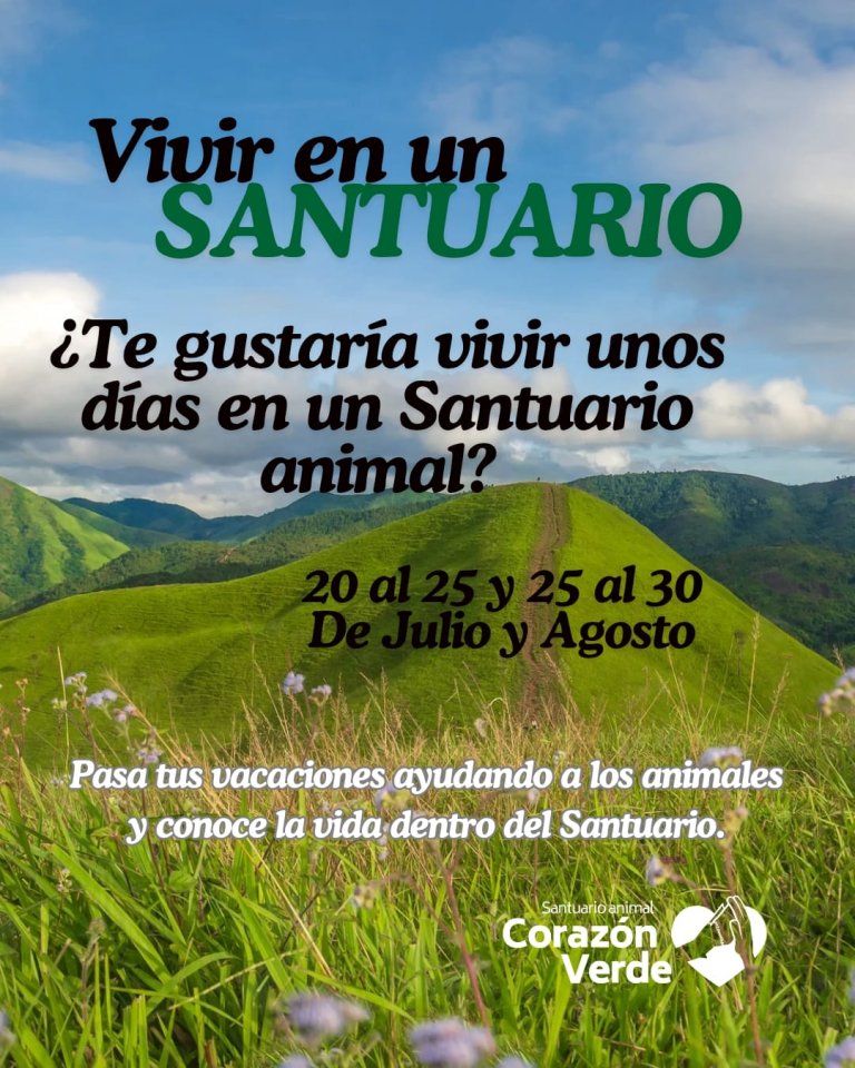 Vive en el Santuario- verano 2026 Vive en el Santuario- verano 2026