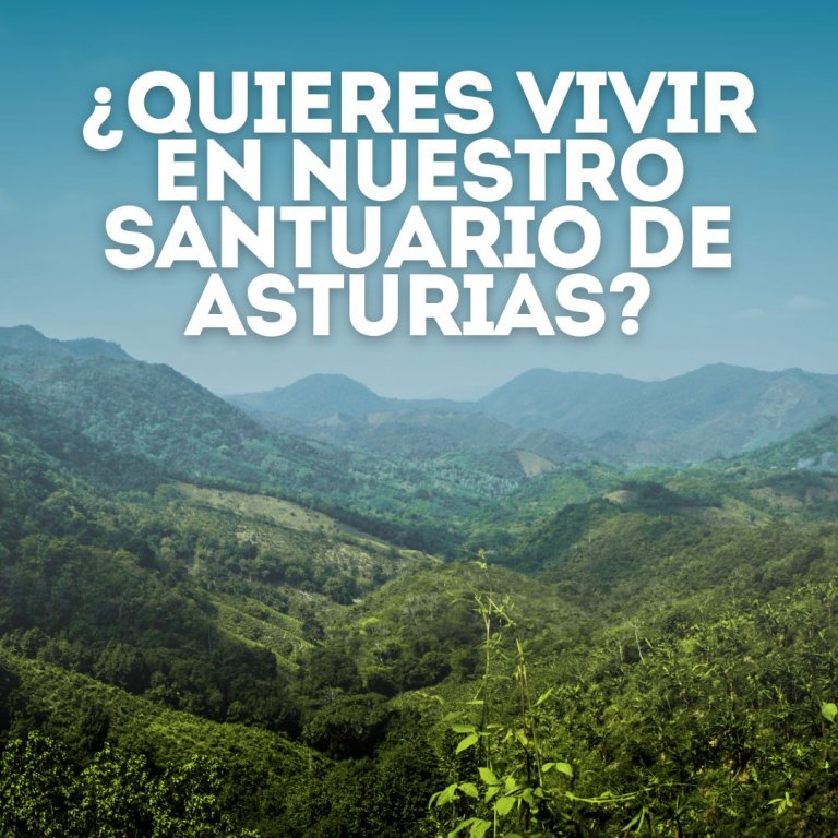 Vivir en el Santuario