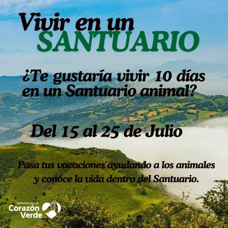 VIVIR EN UN SANTUARIO VIVIR EN UN SANTUARIO
