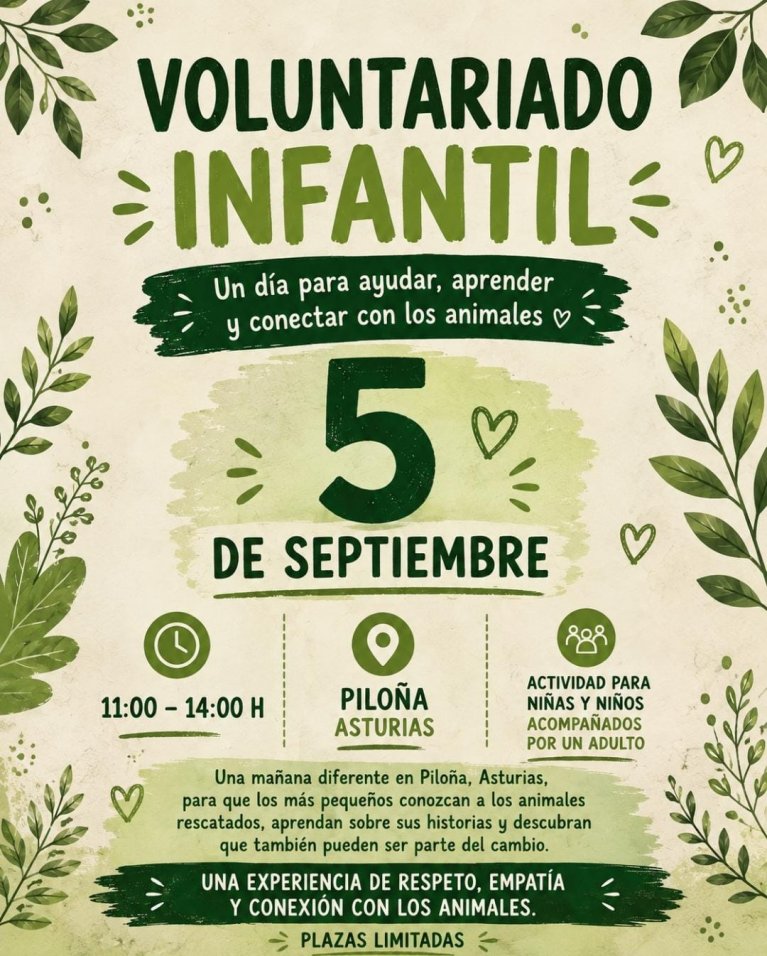 Voluntariado infantil de verano Voluntariado infantil de verano