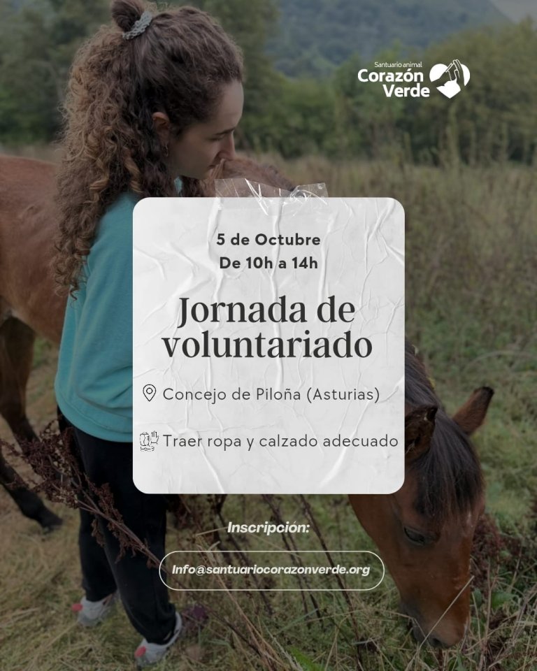 Voluntariados: Octubre Voluntariados: Octubre