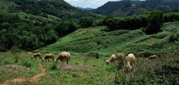 Nuestros habitantes