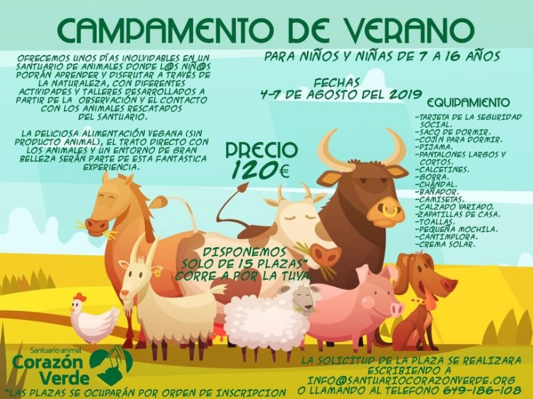CAMPAMENTO DE VERANO CAMPAMENTO DE VERANO