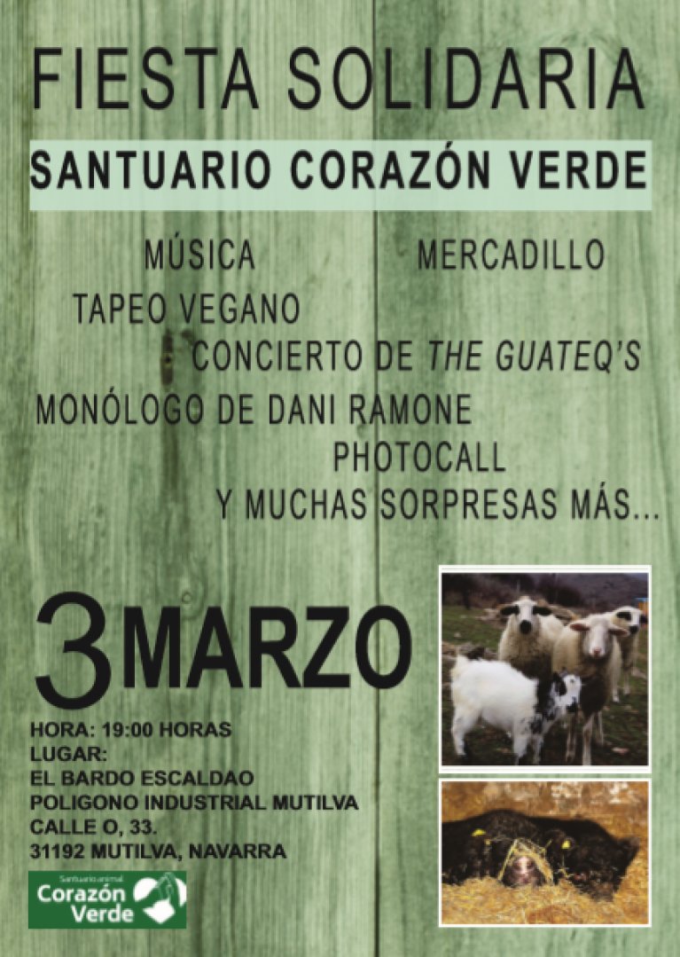 Fiesta solidaria Fiesta solidaria