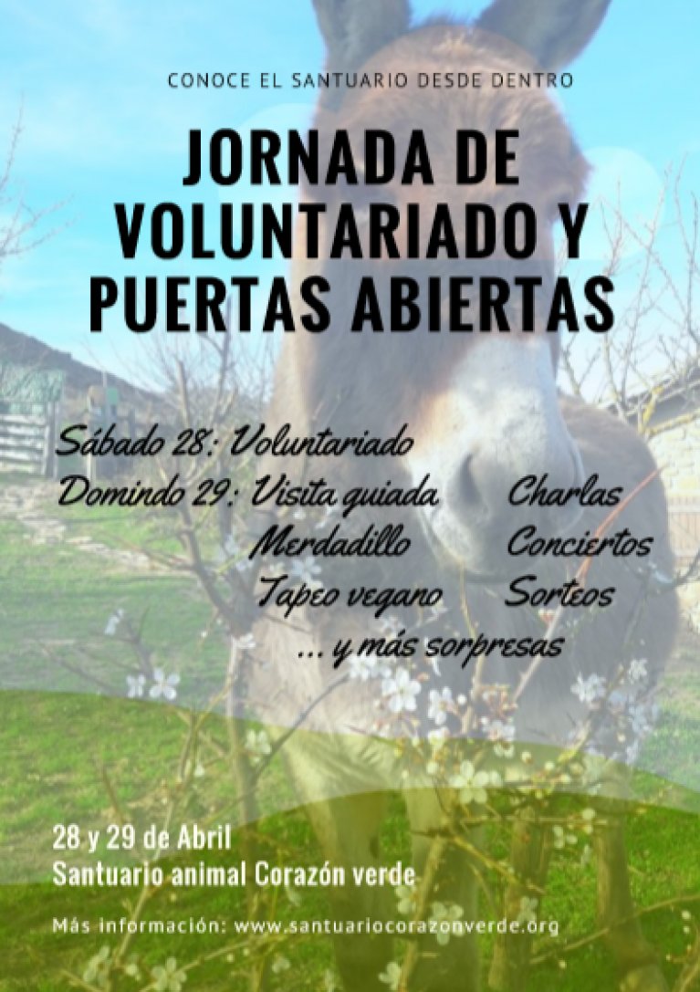 PUERTAS ABIERTAS PUERTAS ABIERTAS