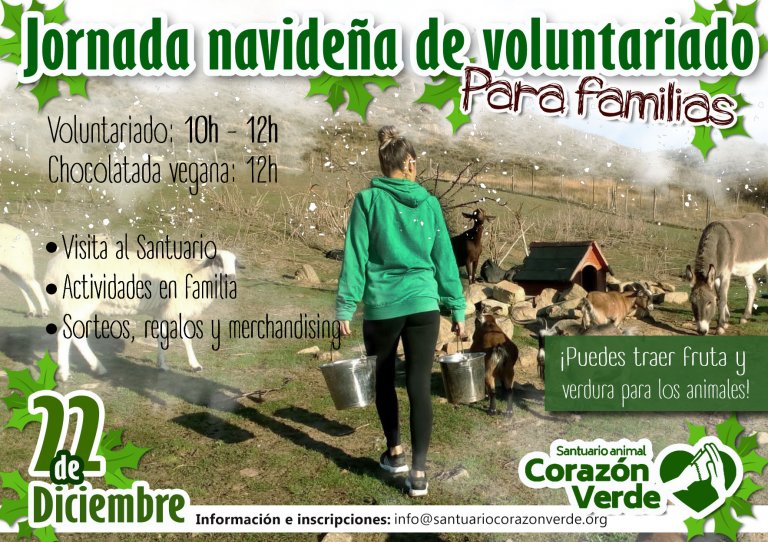 VOLUNTARIADO NAVIDEÑO VOLUNTARIADO NAVIDEÑO